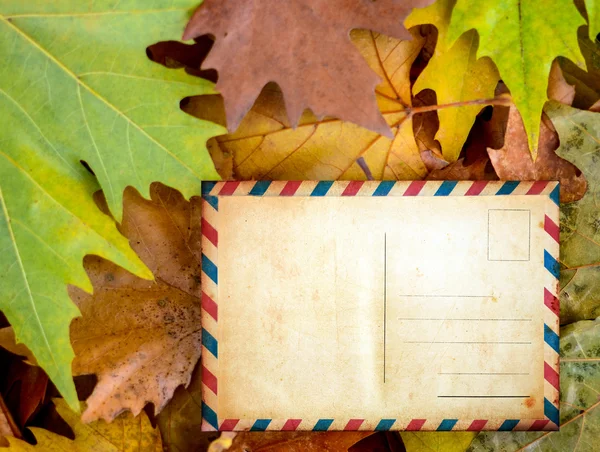 Lege briefkaart op Herfstbladeren — Stockfoto