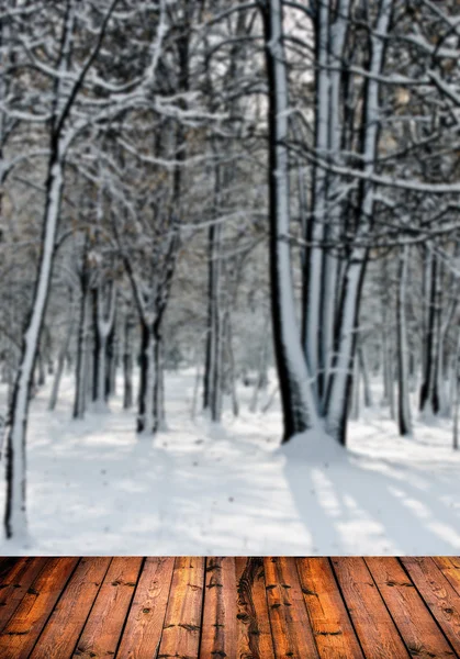 Bosque de invierno y suelo de madera —  Fotos de Stock