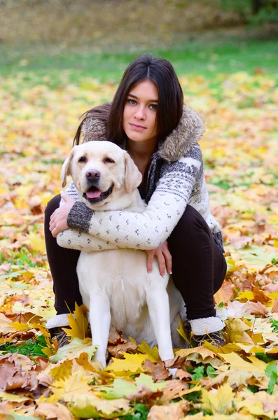 Doğa köpek ile esmer kız — Stok fotoğraf