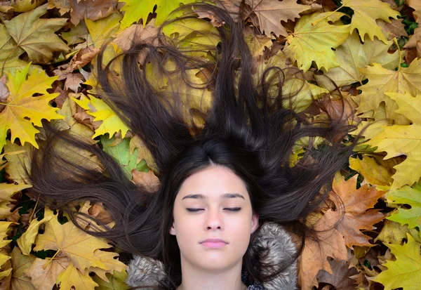 Porträt der schönen brünetten Frau auf Ahornblättern liegend — Stockfoto