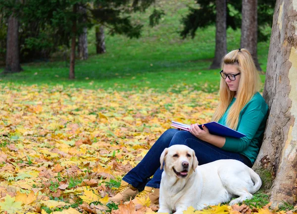 Студентка учится на природе с собакой — стоковое фото