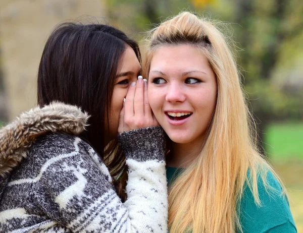 Zwei Teenie-Mädchen flüstern Gerüchte — Stockfoto