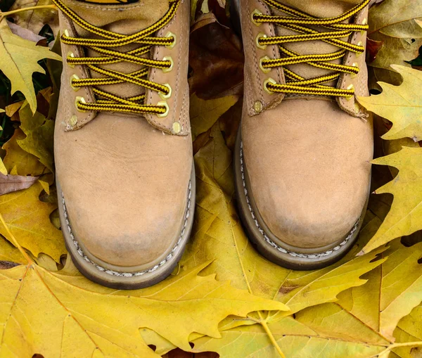 Caminar en concepto de naturaleza — Foto de Stock