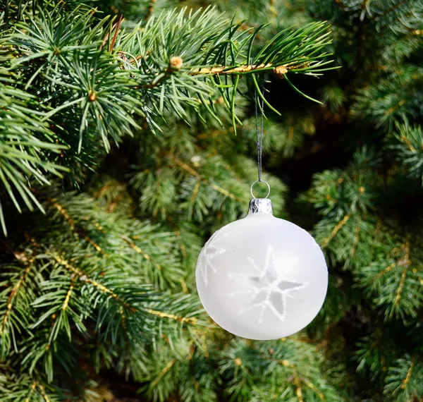 Árbol de Navidad con adorno decorativo — Foto de Stock