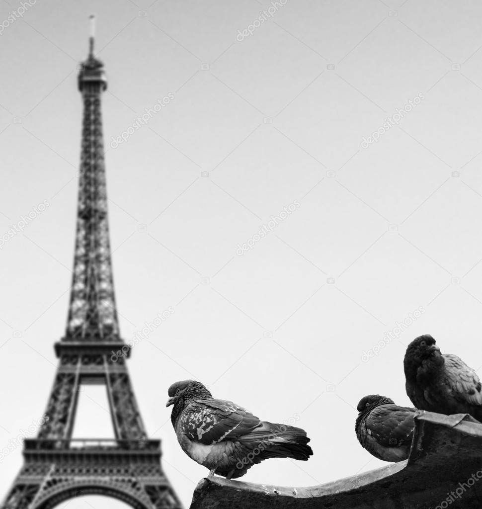 Palomas contra la torre Eiffel París Francia 2022