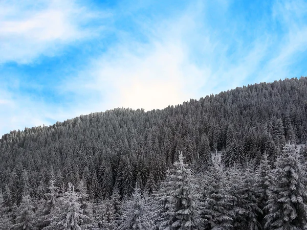 Bellissimo paesaggio invernale — Foto Stock