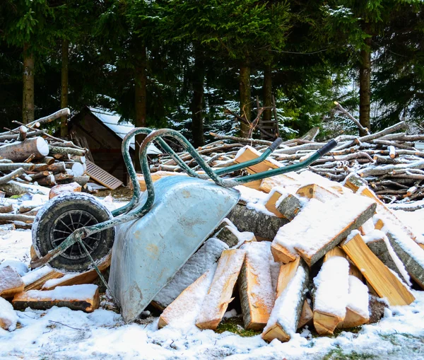 Oude kruiwagen met hout logt aginst bos - winter tijd conce — Stockfoto