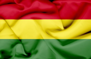 Bolivya dalgalanan bayrak