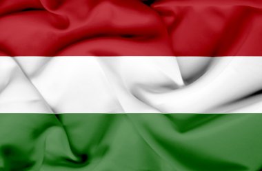Macaristan dalgalanan bayrak