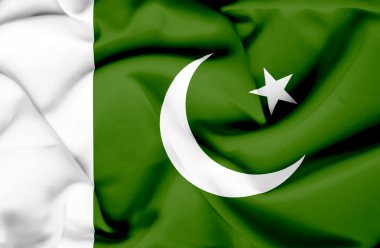 Pakistan dalgalanan bayrak