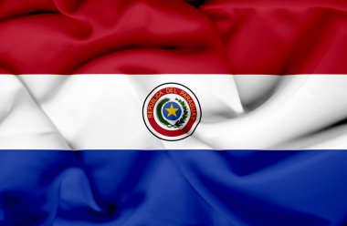 Paraguay dalgalanan bayrak
