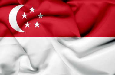 singapoore sallanan bayrak