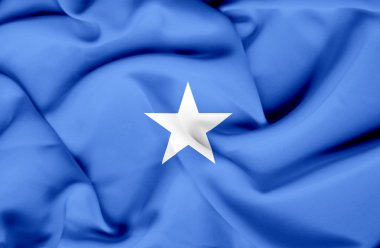 Somali dalgalanan bayrak