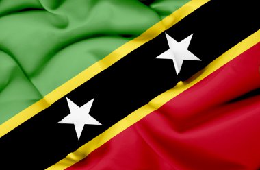 St kitts ve nevis bayrak sallayarak