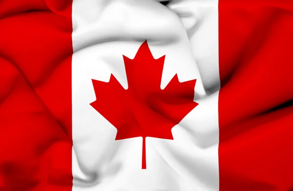 Kanada dalgalanan bayrak — Stok fotoğraf