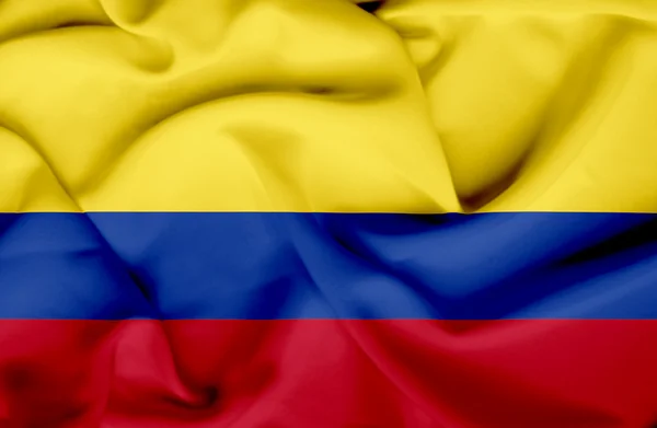 Kolumbianer schwenken Flagge — Stockfoto