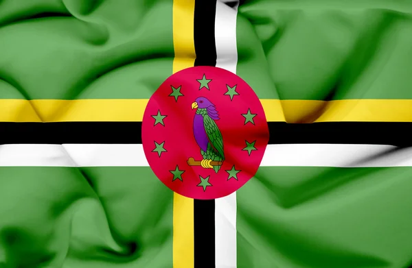 Dominica schwenkt Flagge — Stockfoto