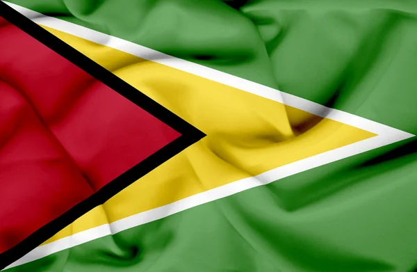 Guyana ondeando bandera — Foto de Stock