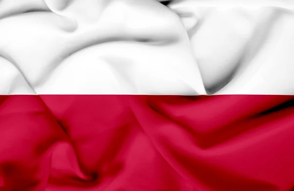 波兰挥动国旗 — 图库照片