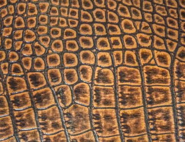 Yılan deri dokusu