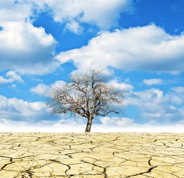 Global Warming conceptual image — Stock Photo, Image