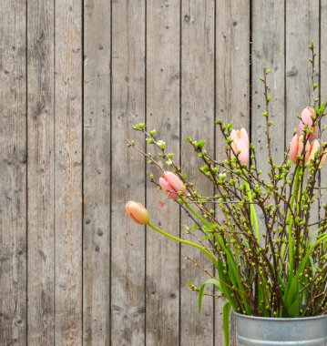 Cam Aranjman ahşap arka plan güzel bahar laleler