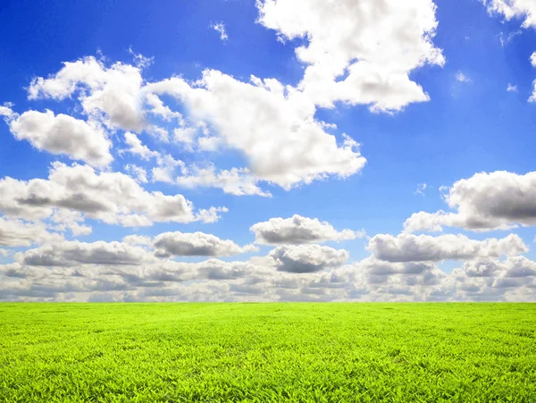 Belo campo verde e céu azul - vista natural da paisagem — Fotografia de Stock