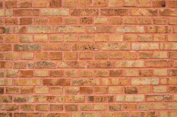 Fondo de pared de ladrillo — Foto de Stock