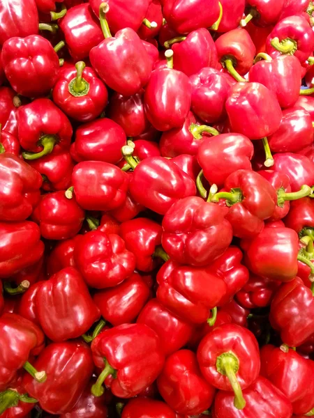 Bright red paprika background — Stock Photo, Image