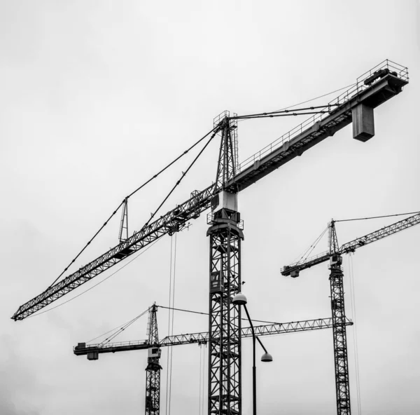 Crane silhouettes — Stock Photo, Image