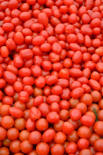 Čerstvý pomodori italská rajčata pozadí — Stock fotografie