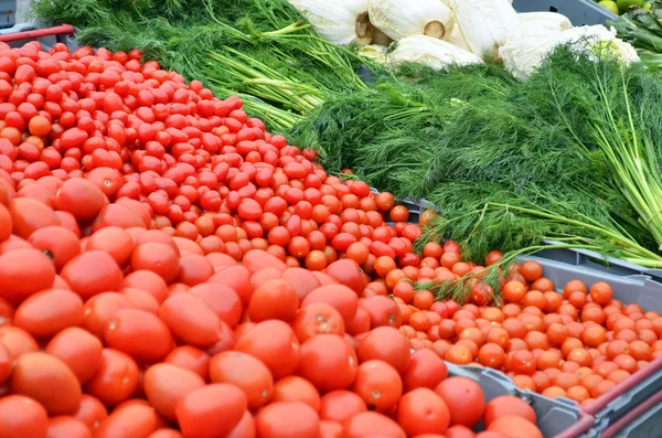 Färska grönsaker på öppna marknaden — Stockfoto