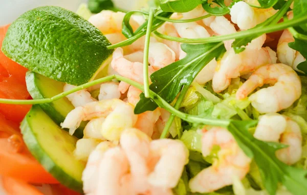 Grüner Salat mit Garnelen — Stockfoto