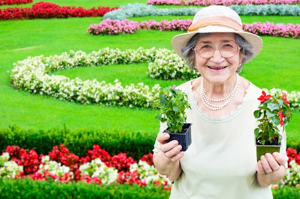 Szczęśliwa kobieta starszy trzyma kwiaty w ogrodzie — Zdjęcie stockowe