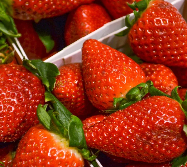 Makro von Erdbeeren in Schachtel — Stockfoto