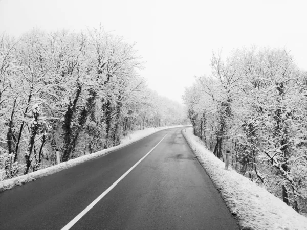 美しい雪の森と道路 — ストック写真