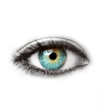 güzel mavi insan gözü beyaz makro çekim üzerinde izole