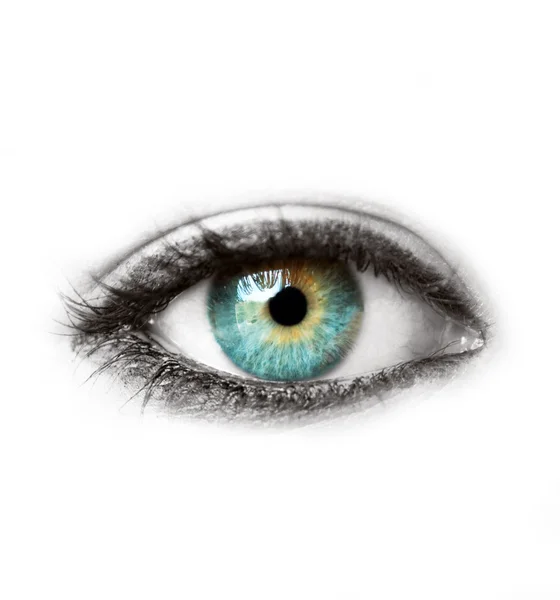 Prachtige blauwe menselijk oog geïsoleerd op witte macro-opname — Stockfoto