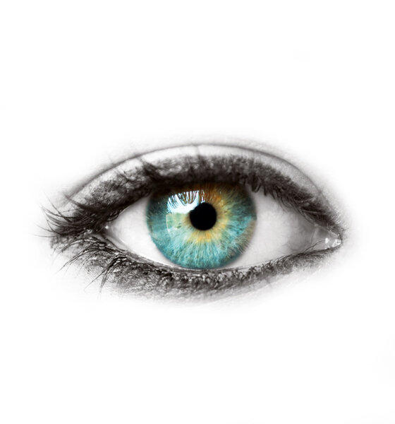 Красивый синий человеческий глаз, выделенный на белом макроснимке
