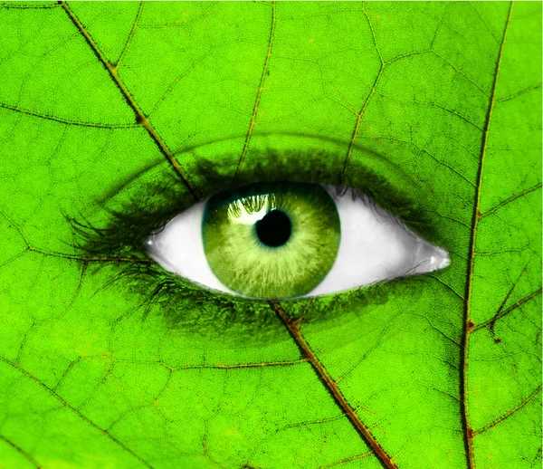Πράσινο ανθρώπινο μάτι με φύλλο - οικολογία έννοια — Φωτογραφία Αρχείου