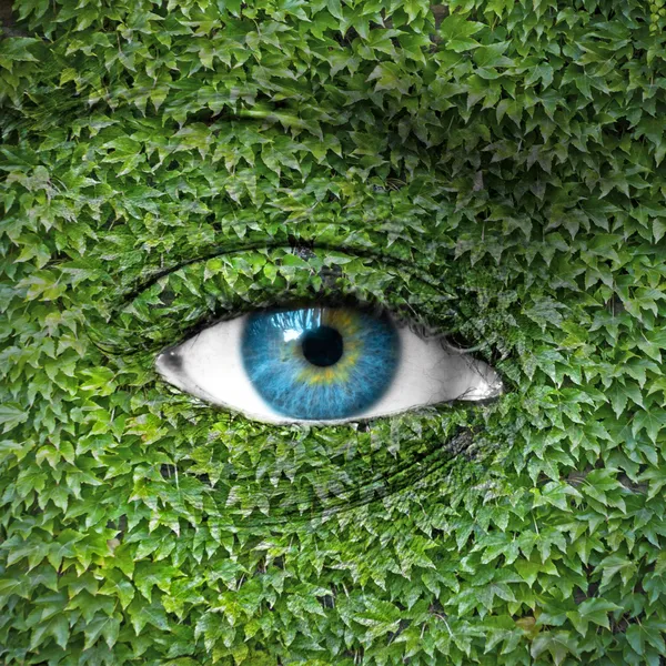 Blue human eye and ivy leaves - Green concept — Stock Photo, Image