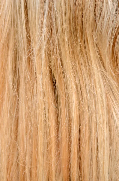Textura loira do cabelo — Fotografia de Stock