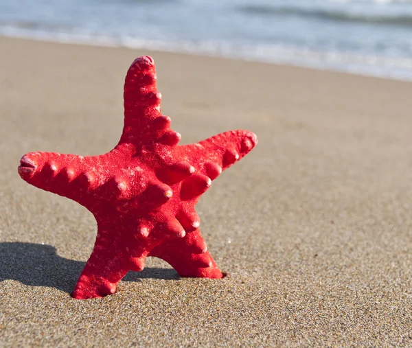 Estrella de mar roja en la playa - Concepto de vacaciones — Foto de Stock