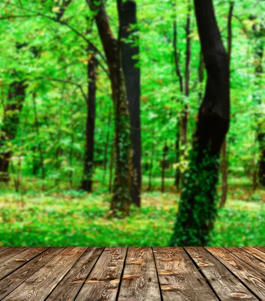 Όμορφο δάσος και ξύλινο πάτωμα φόντο — Φωτογραφία Αρχείου