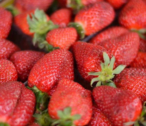 Macro-opname van verse aardbeien — Stockfoto