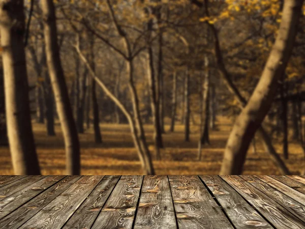 Beautiful autumn forest and wood floor background Stock Picture