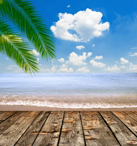 tropikal deniz ve plaj palmiye yaprakları ve ahşap zemin ile