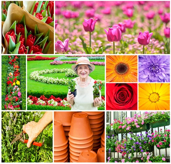 Colagem de jardinagem — Fotografia de Stock