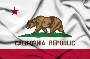 California dalgalanan bayrak