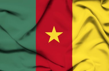 Kamerun dalgalanan bayrak